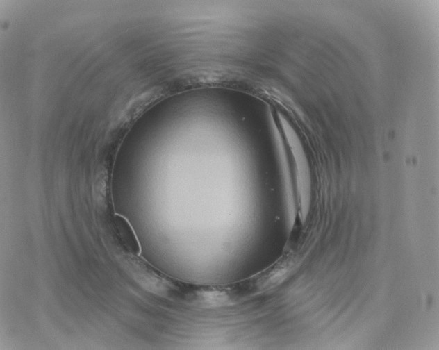 X0000070420509200606302104