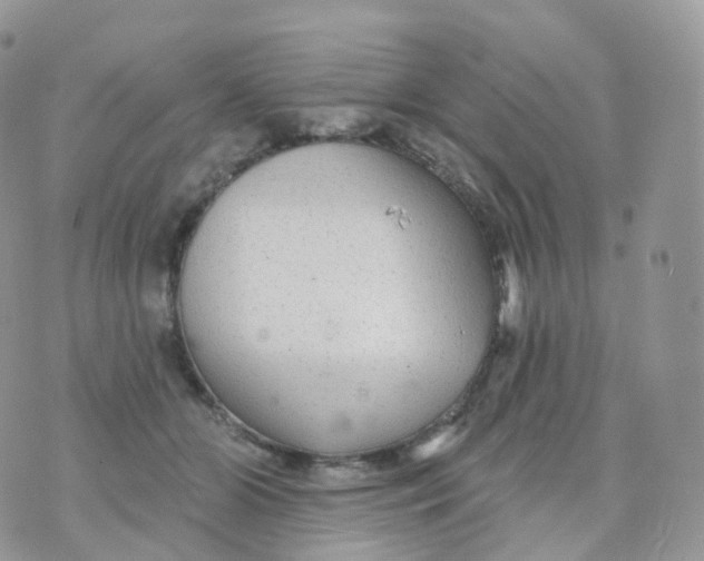 X0000070420510200606302104