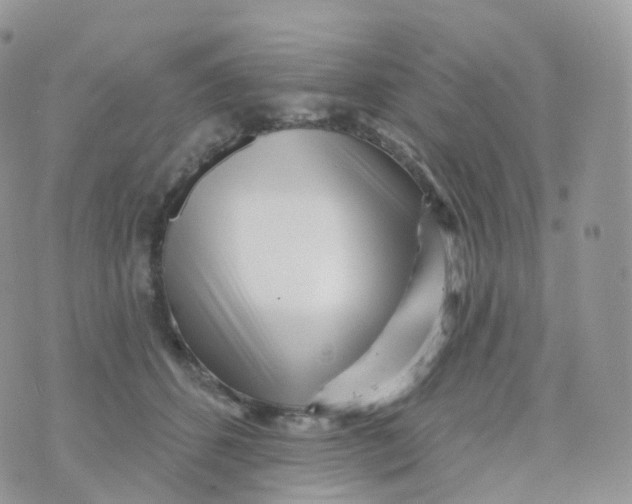 X0000070420512200606302104