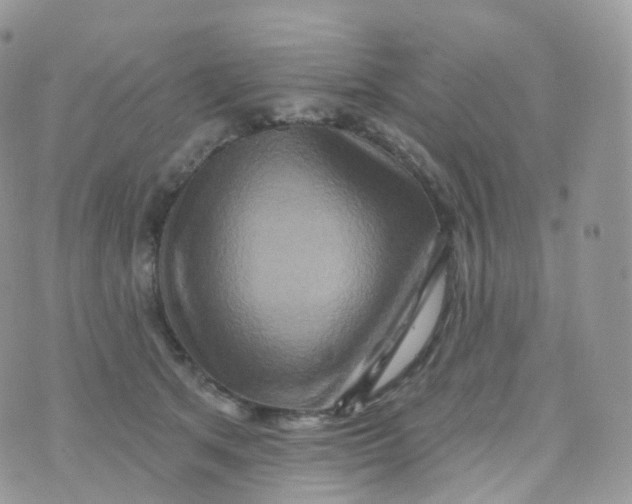 X0000070420513200606302104