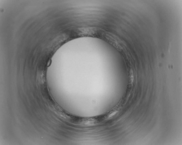 X0000070420514200606302104