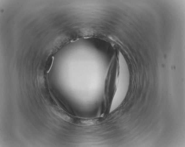 X0000070420516200606302104