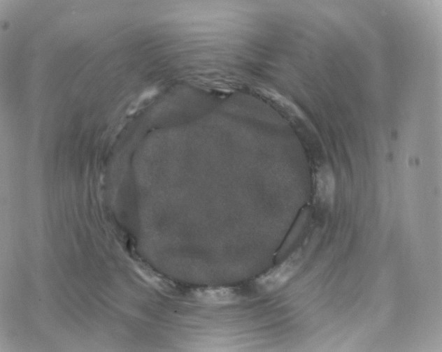 X0000070420517200606302104