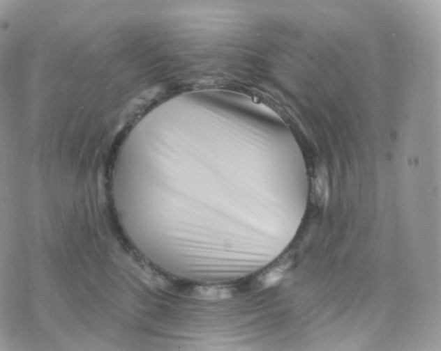 X0000070420520200606302104