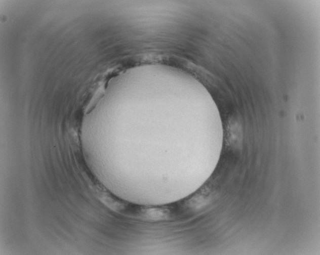 X0000070420522200606302104