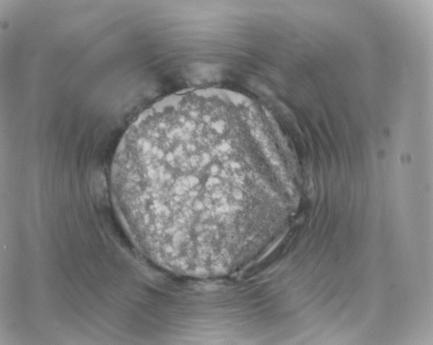 X0000070420523200606302104