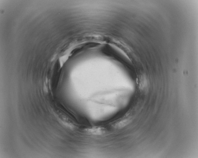 X0000070420524200606302104