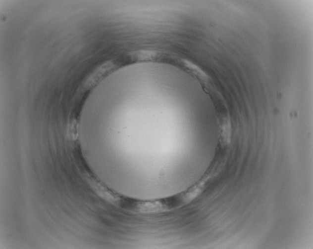 X0000070420525200606302104