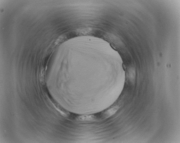 X0000070420526200606302104