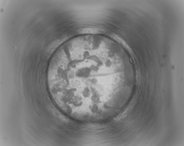 X0000070420529200606302103