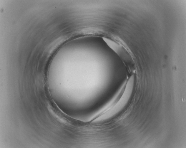 X0000070420530200606302103