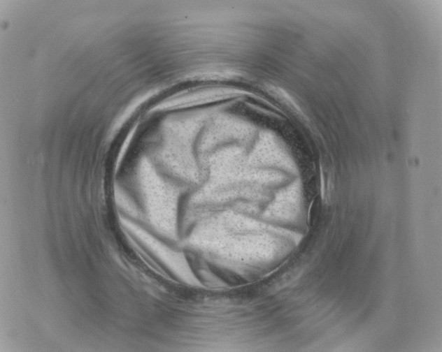 X0000070420531200606302103