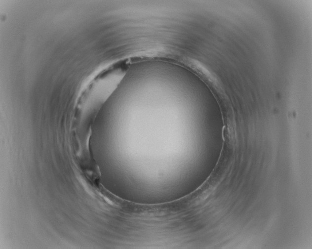 X0000070420532200606302103