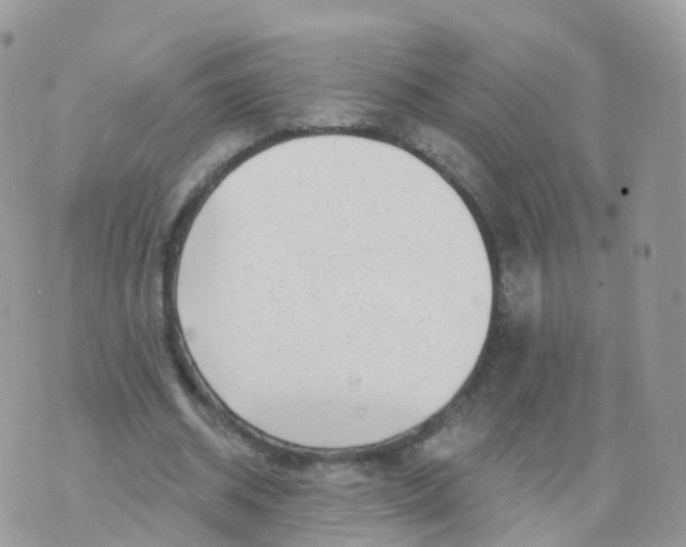 X0000070420534200606302103