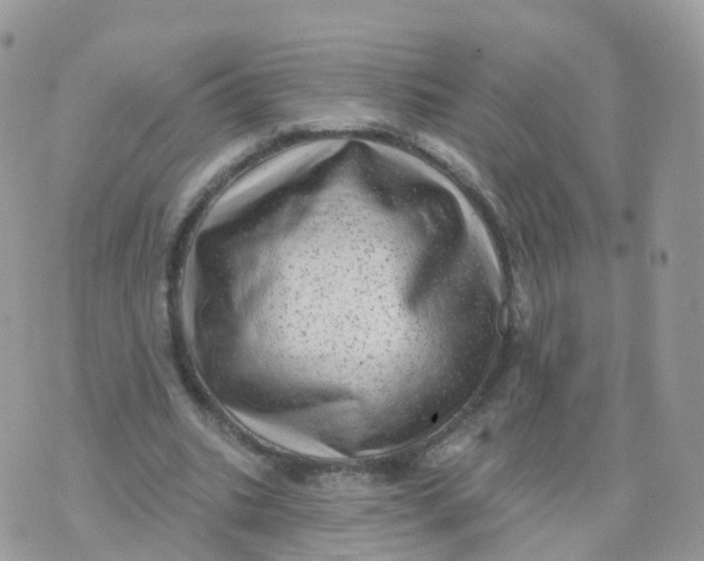 X0000070420535200606302103