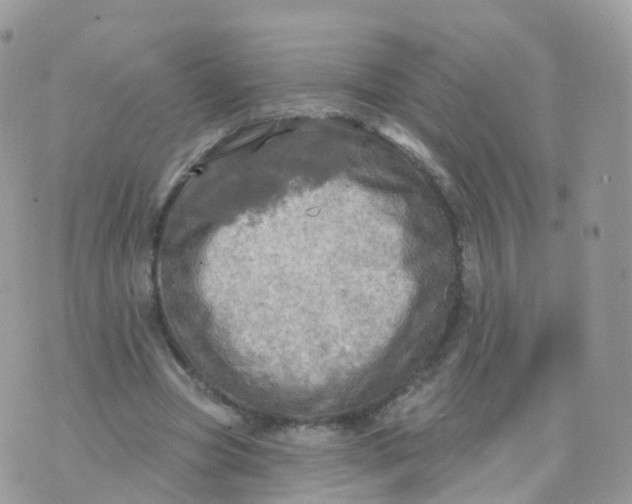 X0000070420537200606302103