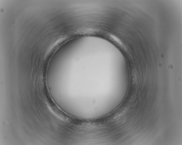 X0000070420538200606302103