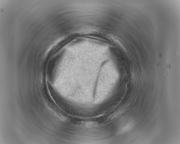 X0000070420539200606302103