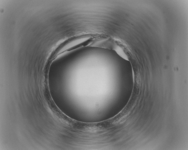 X0000070420540200606302103