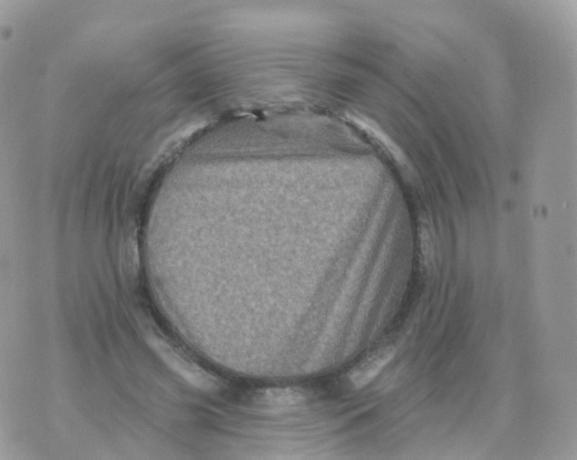 X0000070420541200606302104