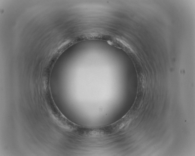 X0000070420546200606302104