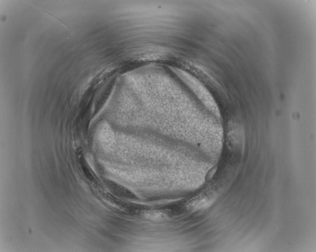 X0000070420547200606302104