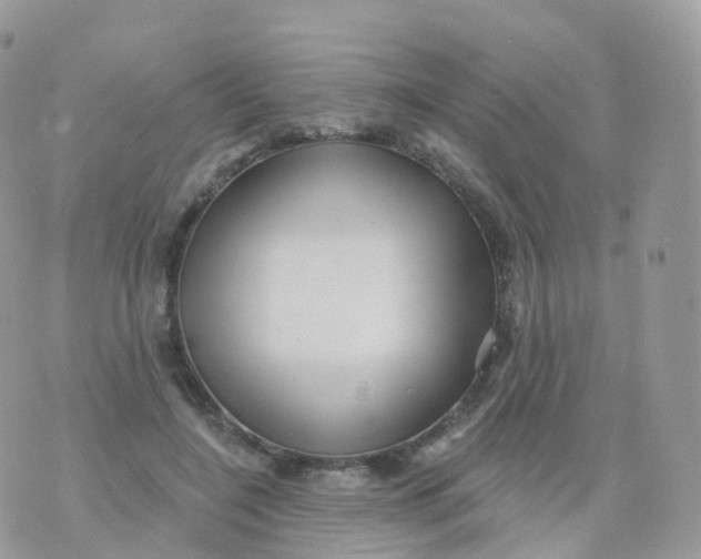 X0000070420548200606302104