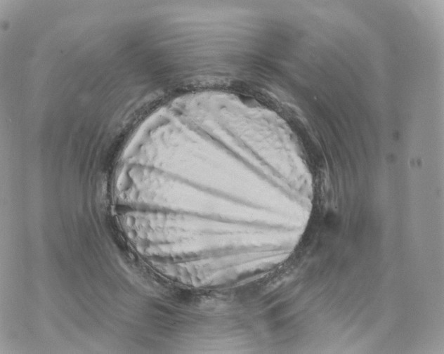 X0000070420550200606302104