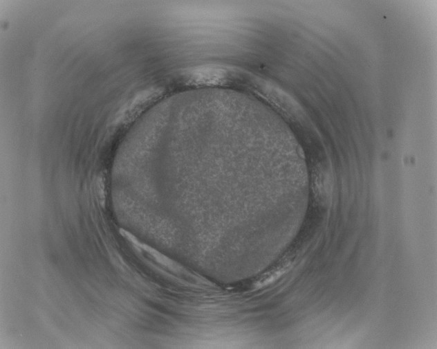 X0000070420551200606302104