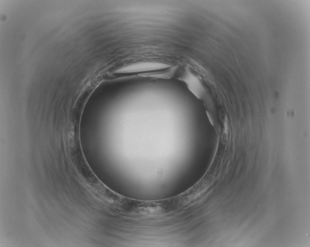 X0000070420552200606302104