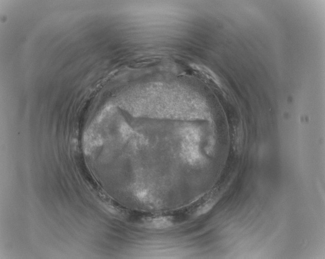 X0000070420553200606302104