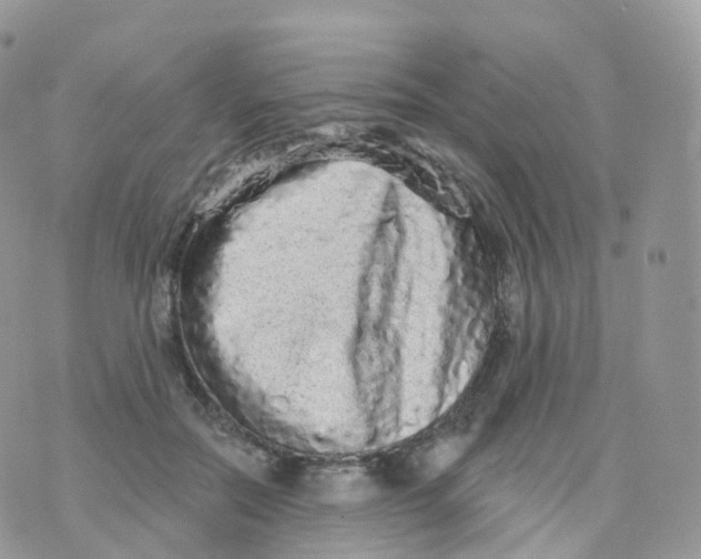 X0000070420554200606302104