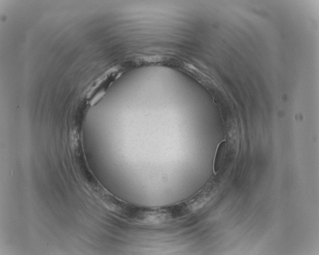 X0000070420555200606302104