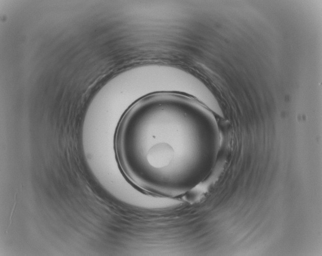 X0000070420556200606302104