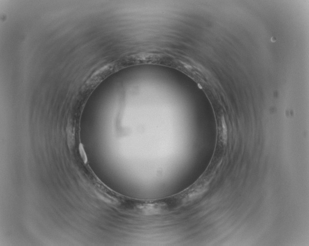 X0000070420558200606302104