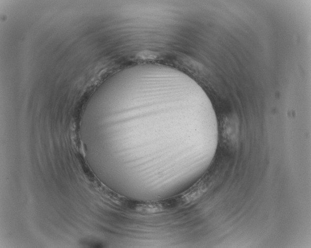 X0000070420559200606302104