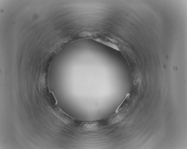 X0000070420560200606302104