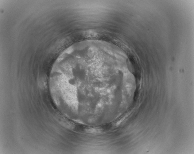 X0000070420561200606302104