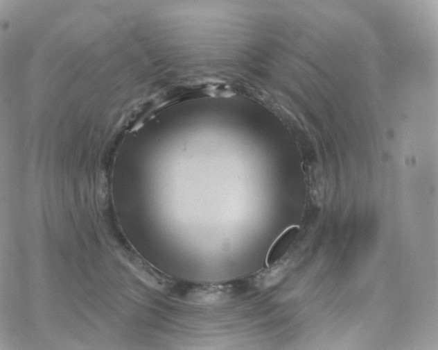 X0000070420563200606302104