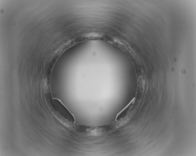 X0000070420564200606302104