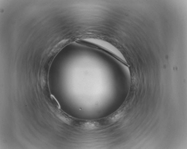 X0000070420566200606302104