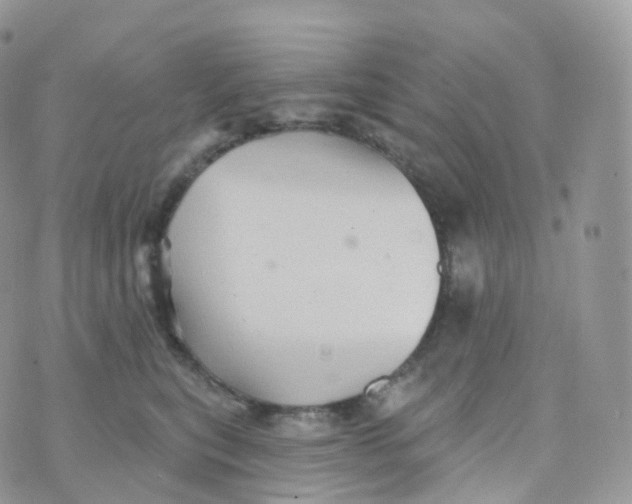 X0000070420567200606302104