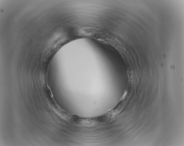 X0000070420568200606302104