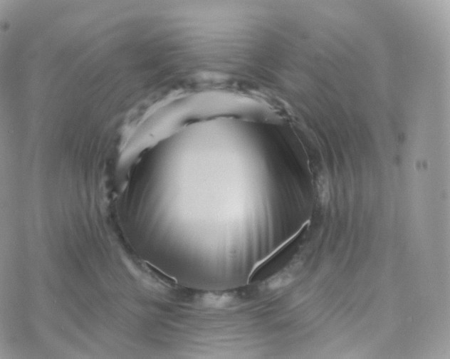 X0000070420570200606302104