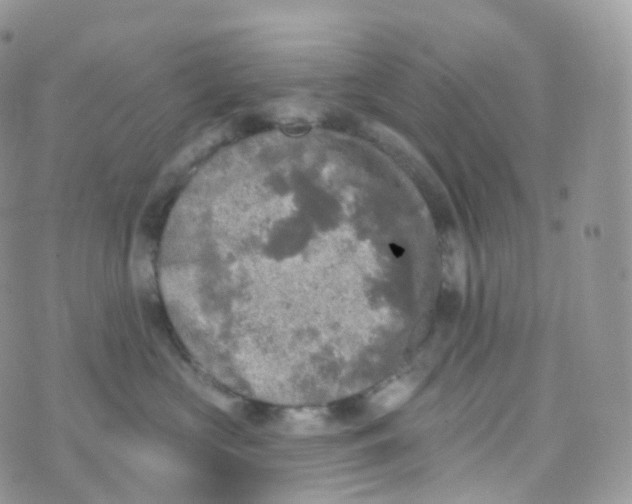 X0000070420573200606302104