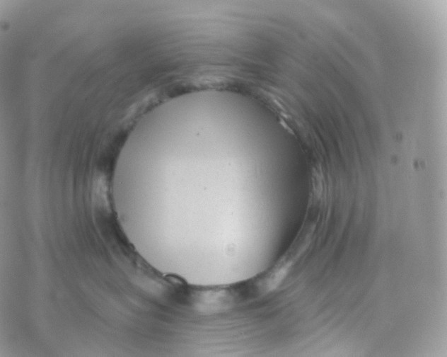 X0000070420575200606302104