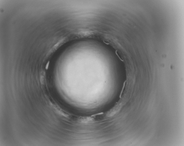 X0000070420576200606302104