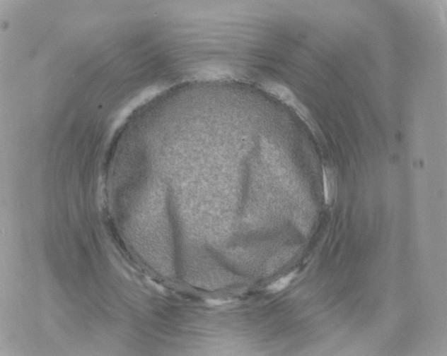 X0000070420579200606302103