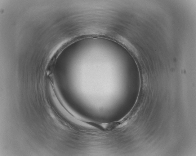 X0000070420580200606302103