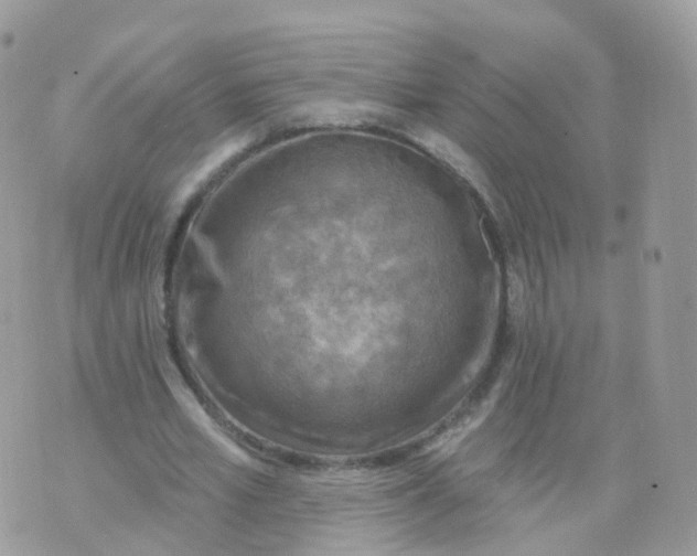 X0000070420581200606302103